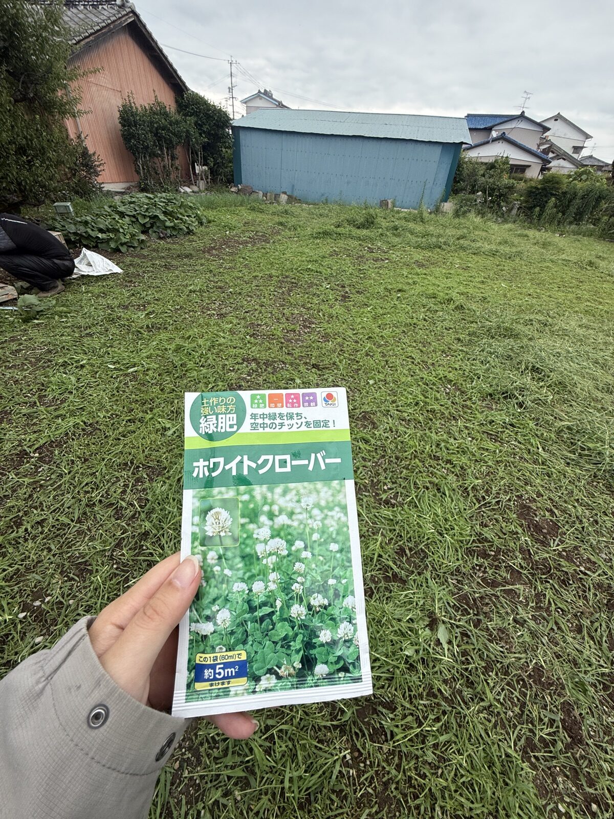ホワイトクローバーの種袋