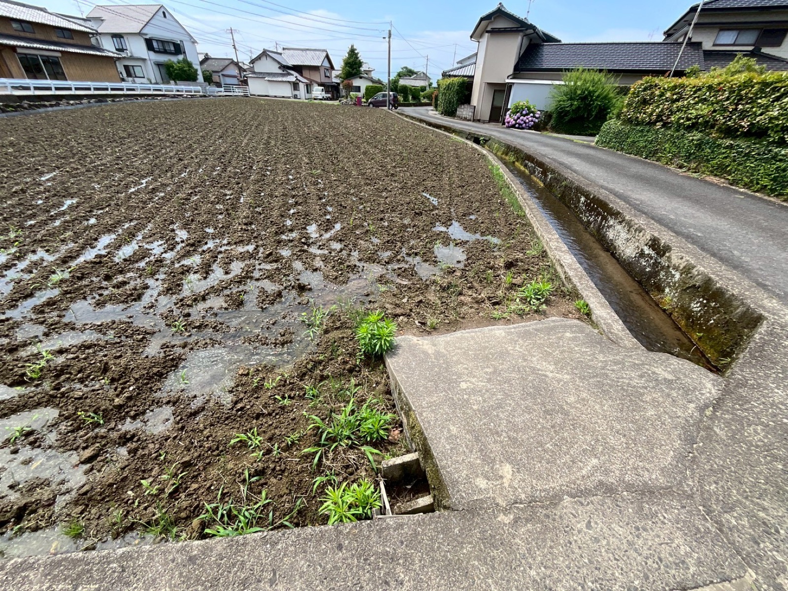 水が入ってしまった田んぼ