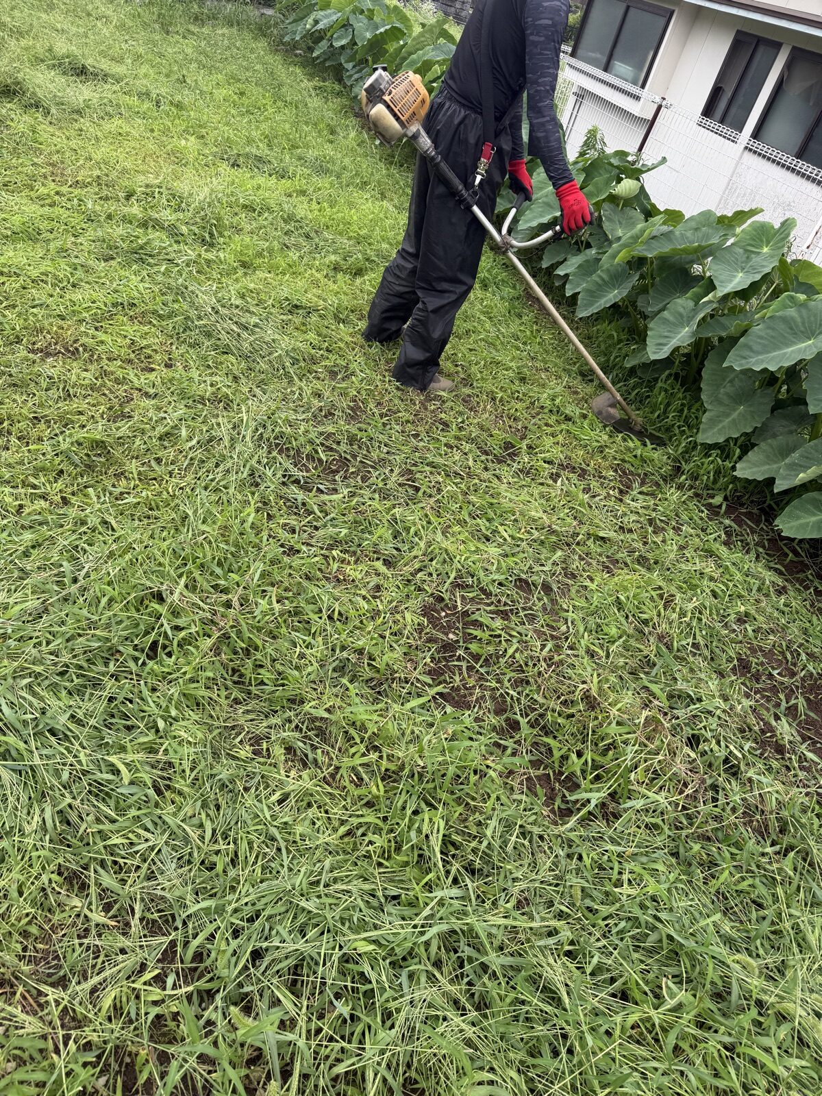 隣の畑の草刈り作業中