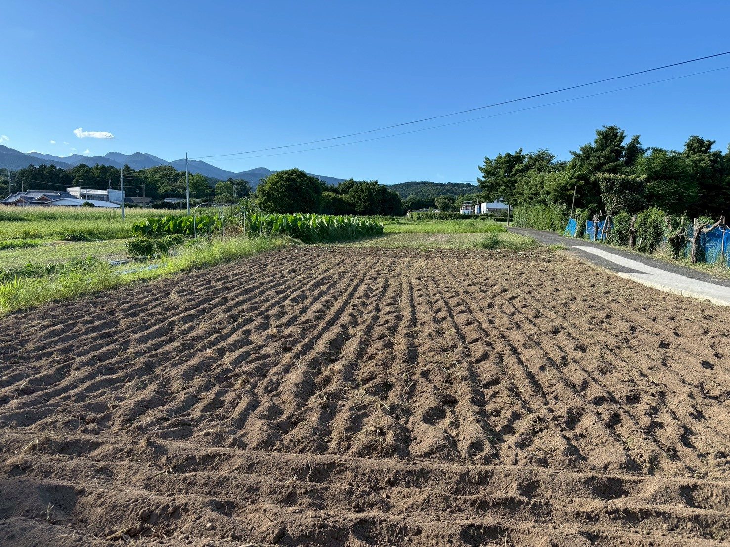 耕運を終えて畝を立てた畑と青空