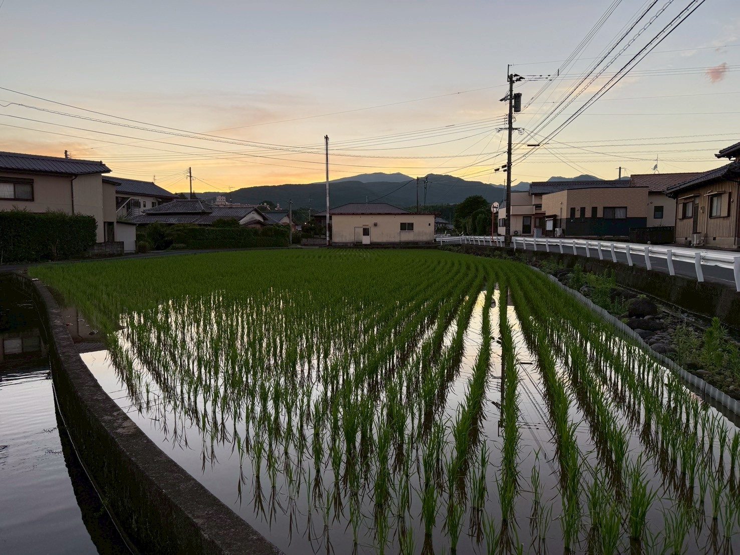 夕暮れの田んぼと水鏡