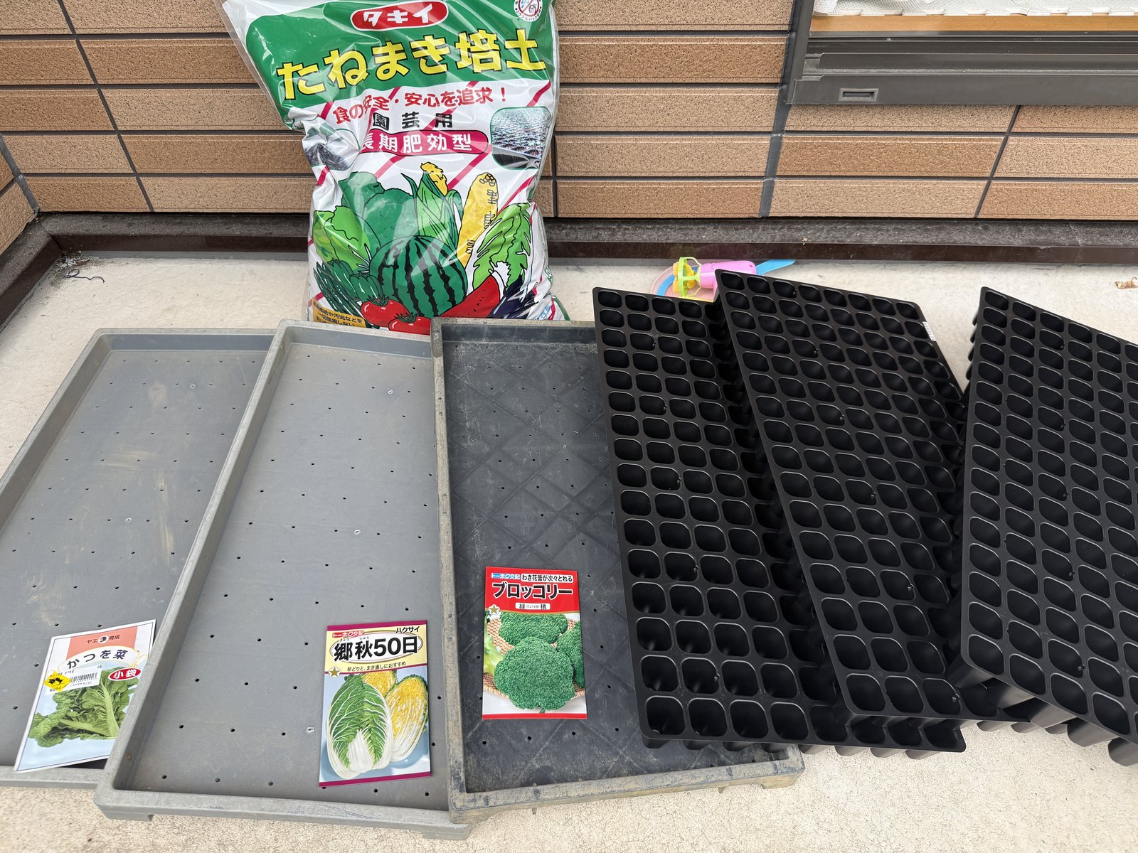 セルトレイとたねまき培土、まく種