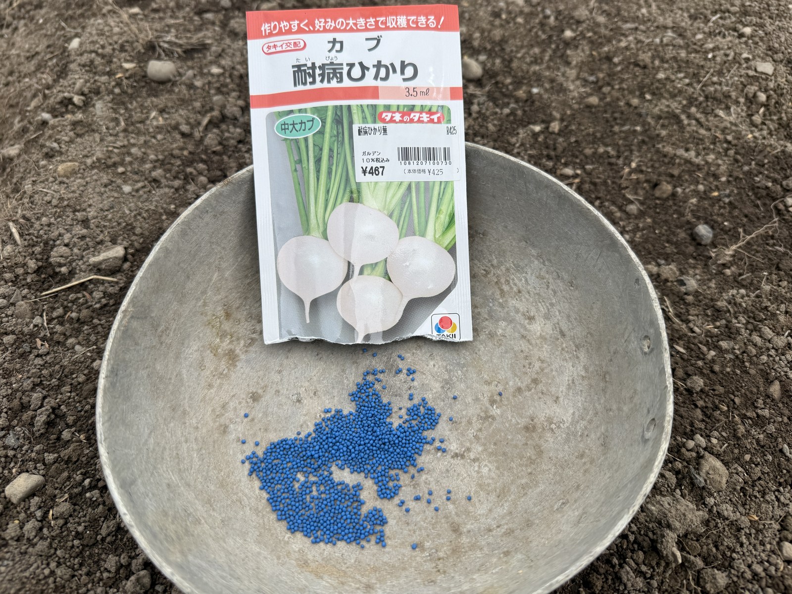 白かぶ(耐病ひかり)の種